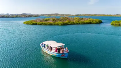 Eco-Cruise-5